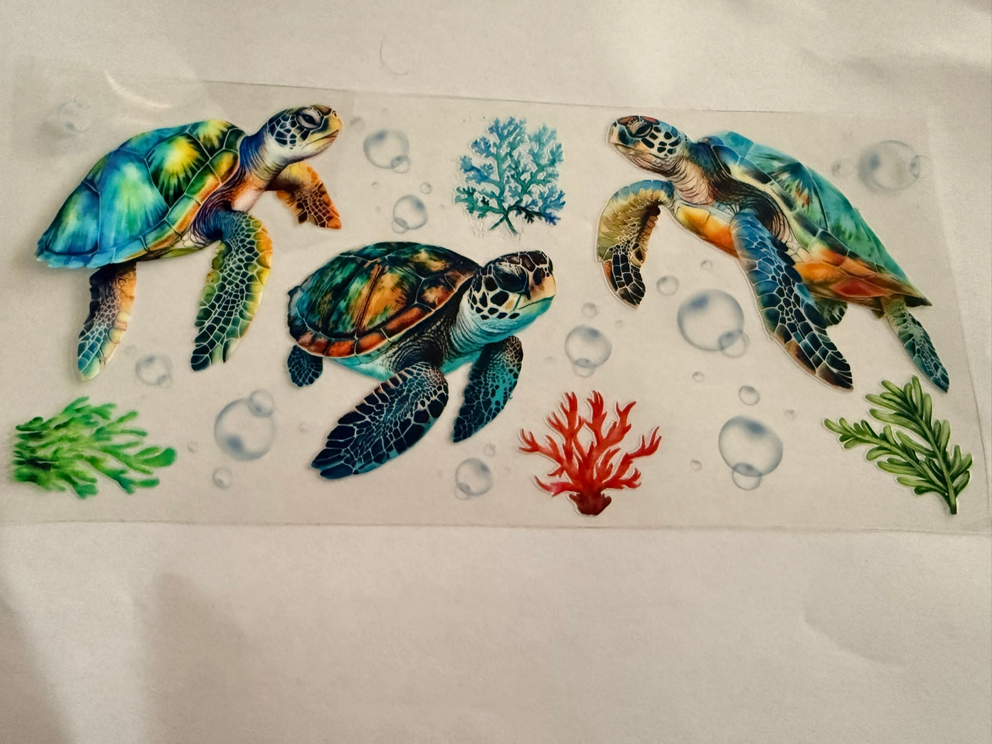 Animals