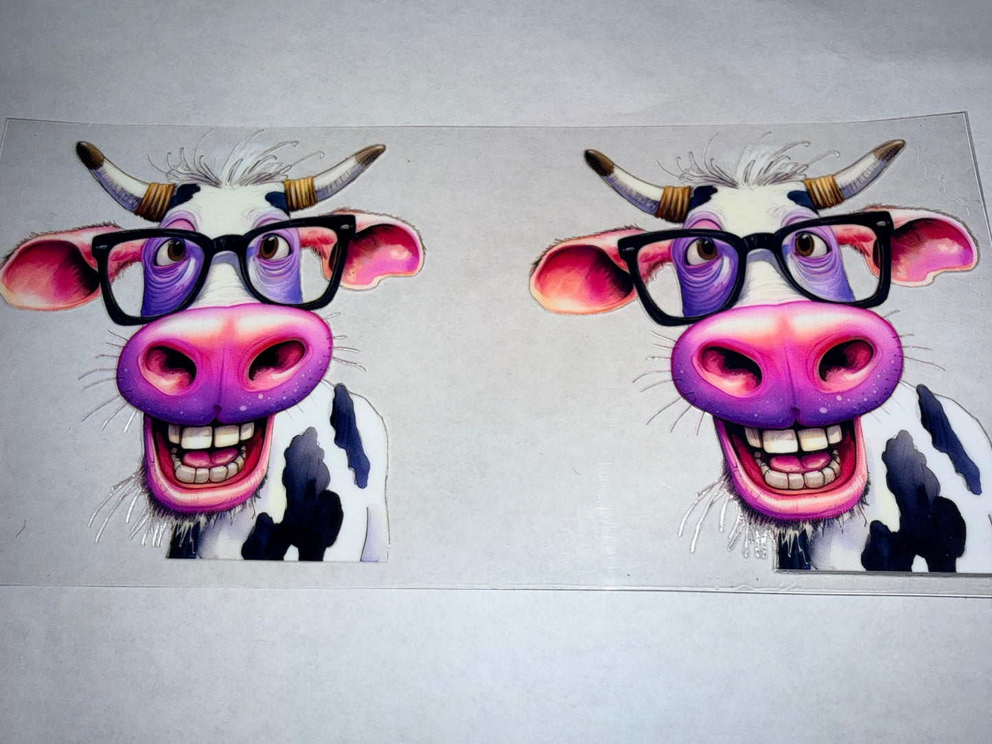 Cows
