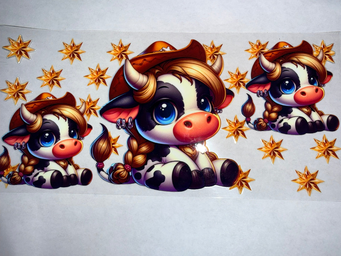 Cows