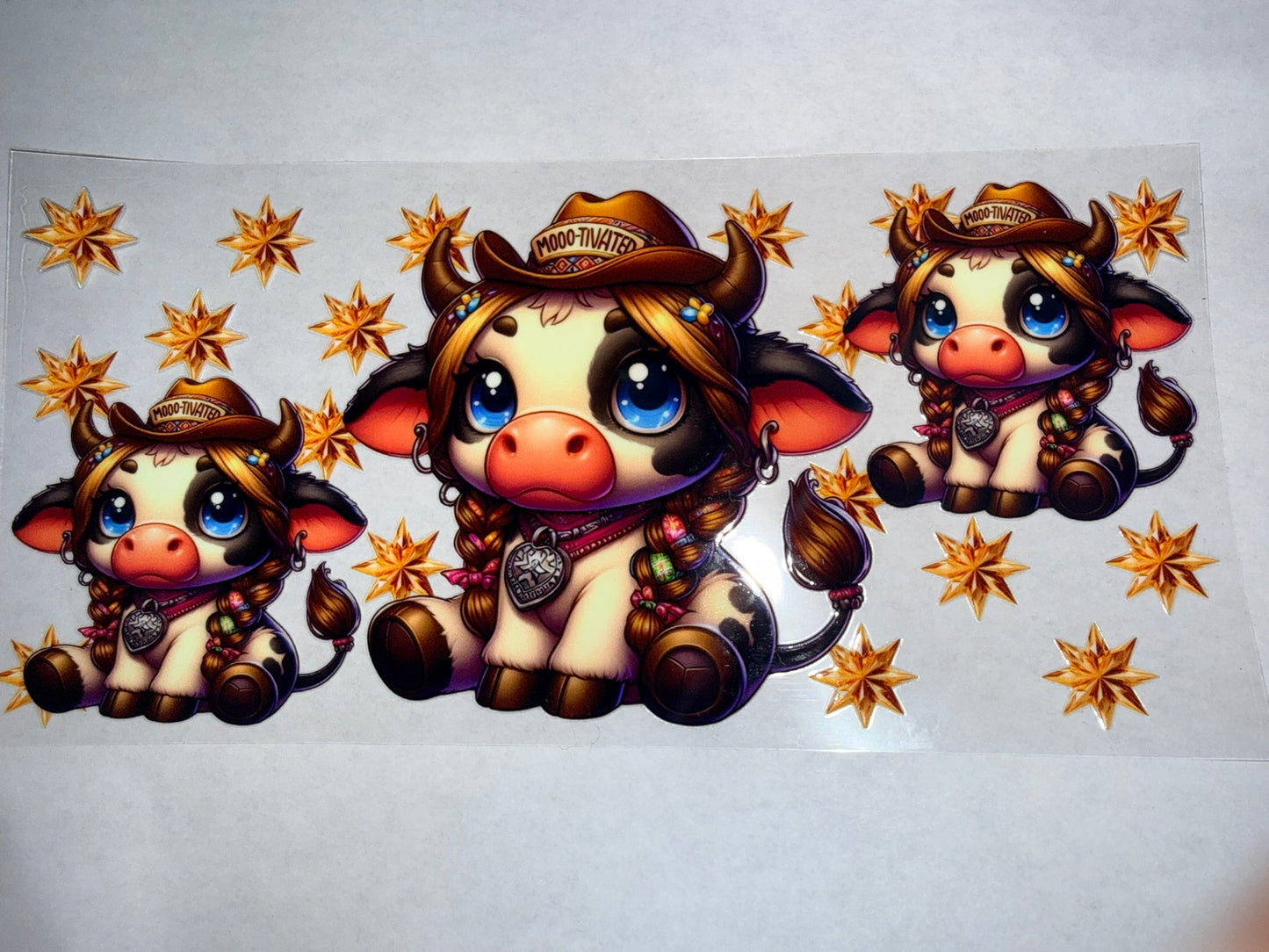 Cows