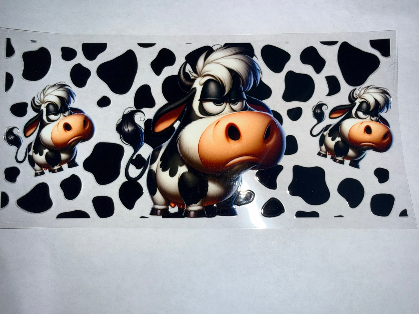 Cows