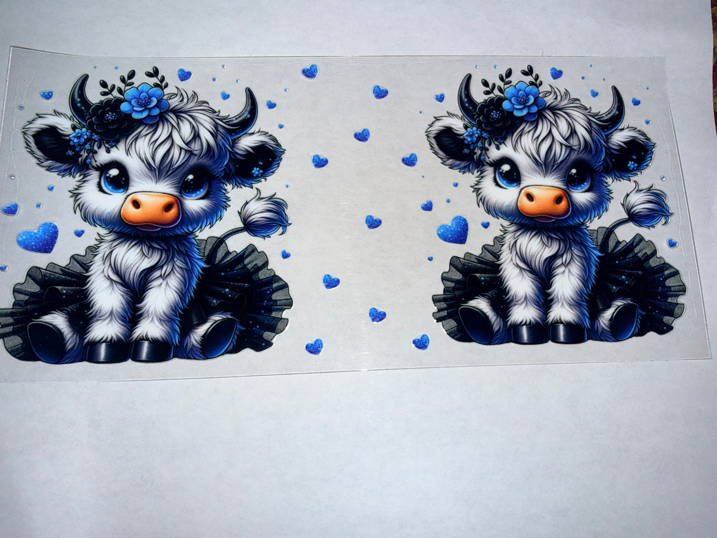 Cows